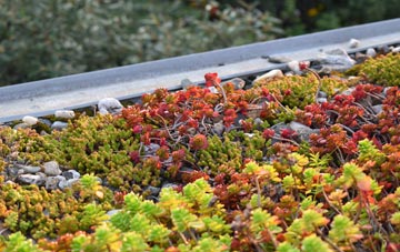 the cost of Bures Green green roof installation