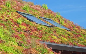 Bures Green living roof systems