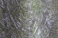 Bures Green fibreglass roof work